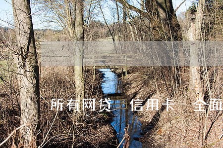 所有网贷 信用卡 全面逾期 所有网贷 信用卡 全面逾期